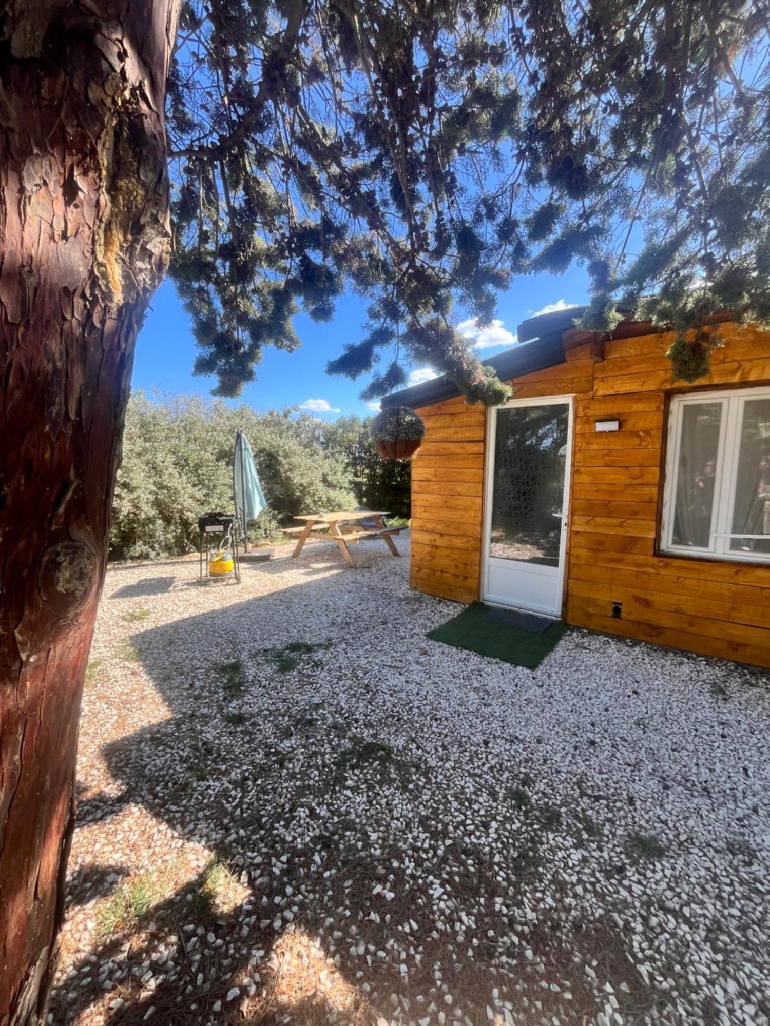 Location T3 Jardin Avec Piscine Villa Mèze Eksteriør bilde